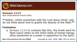 NIV_flesh_or_sinful_nature